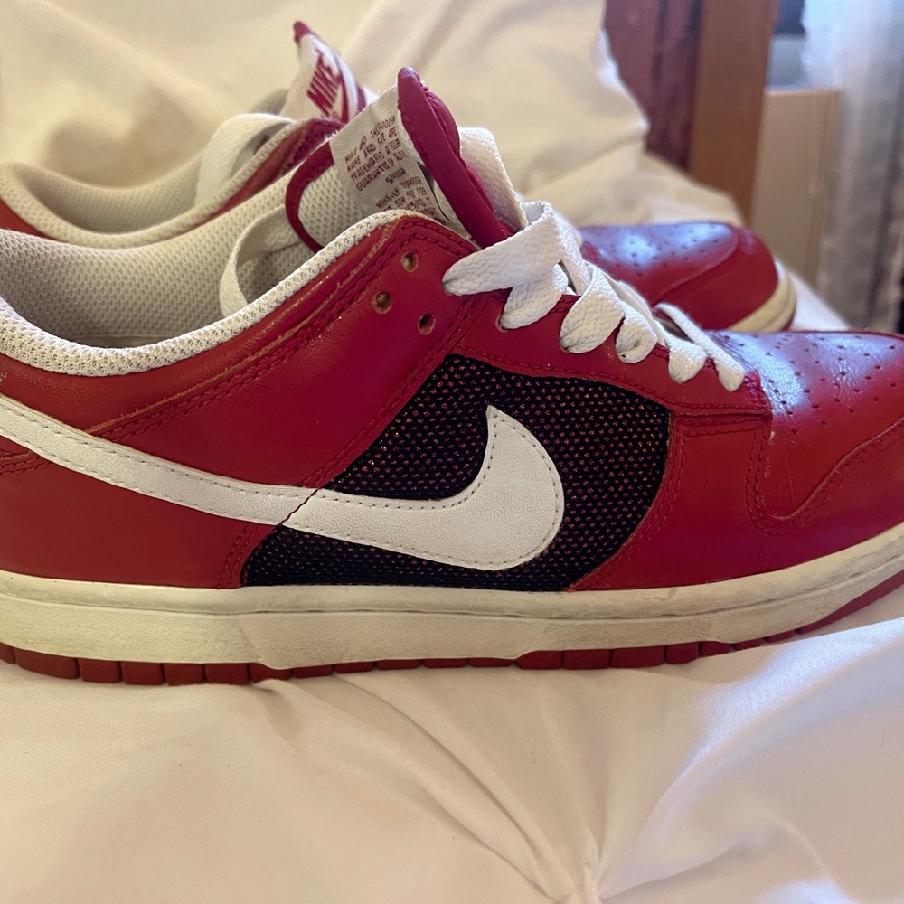 Vintage Nike Dunks ‘00s